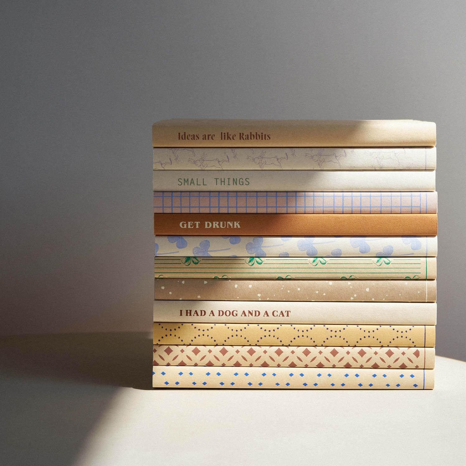 Protège-livre en papier « Ideas Are Like Rabbits »