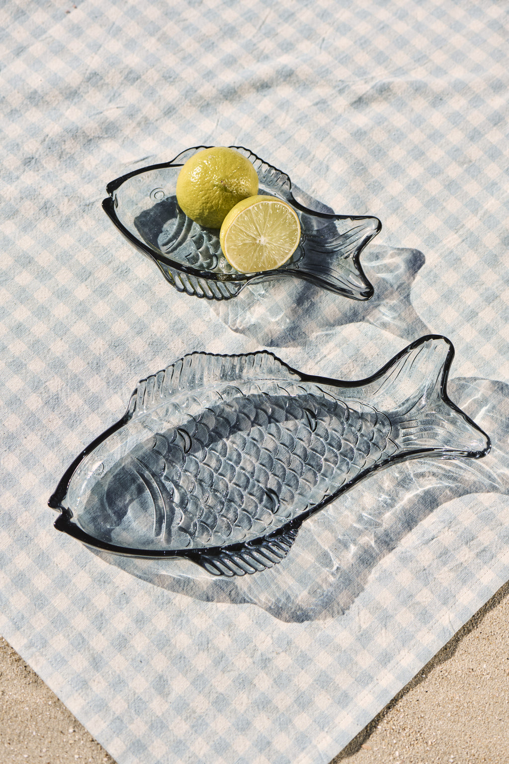 Plat Poisson en Verre Bleu Fumé - Grand Modèle