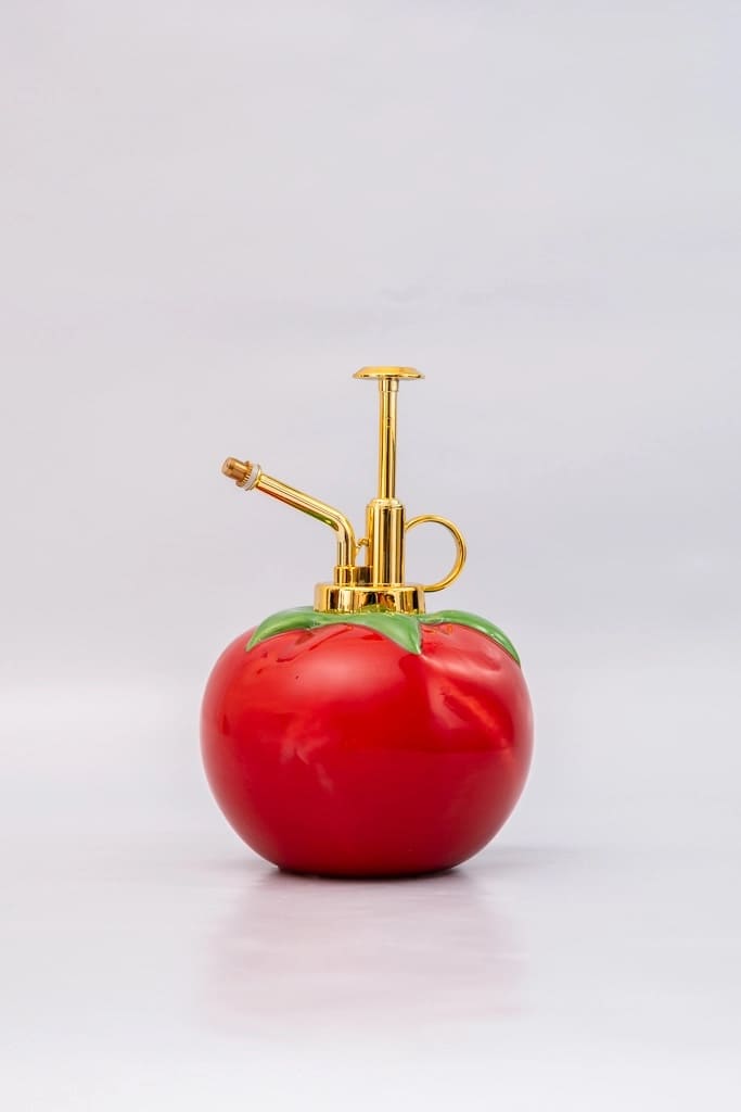 Vaporisateur pour plantes tomate en céramique