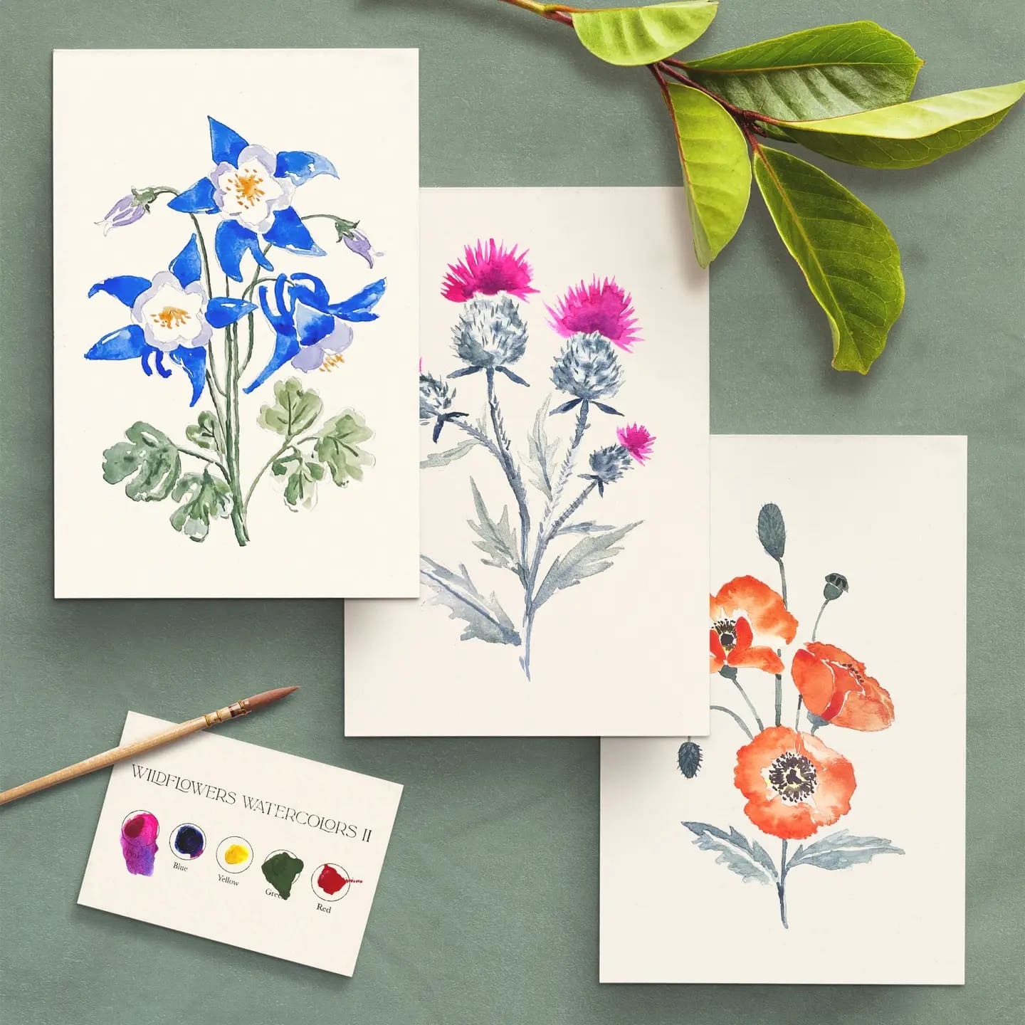 Kit Aquarelle Débutant Fleurs Sauvages n°2