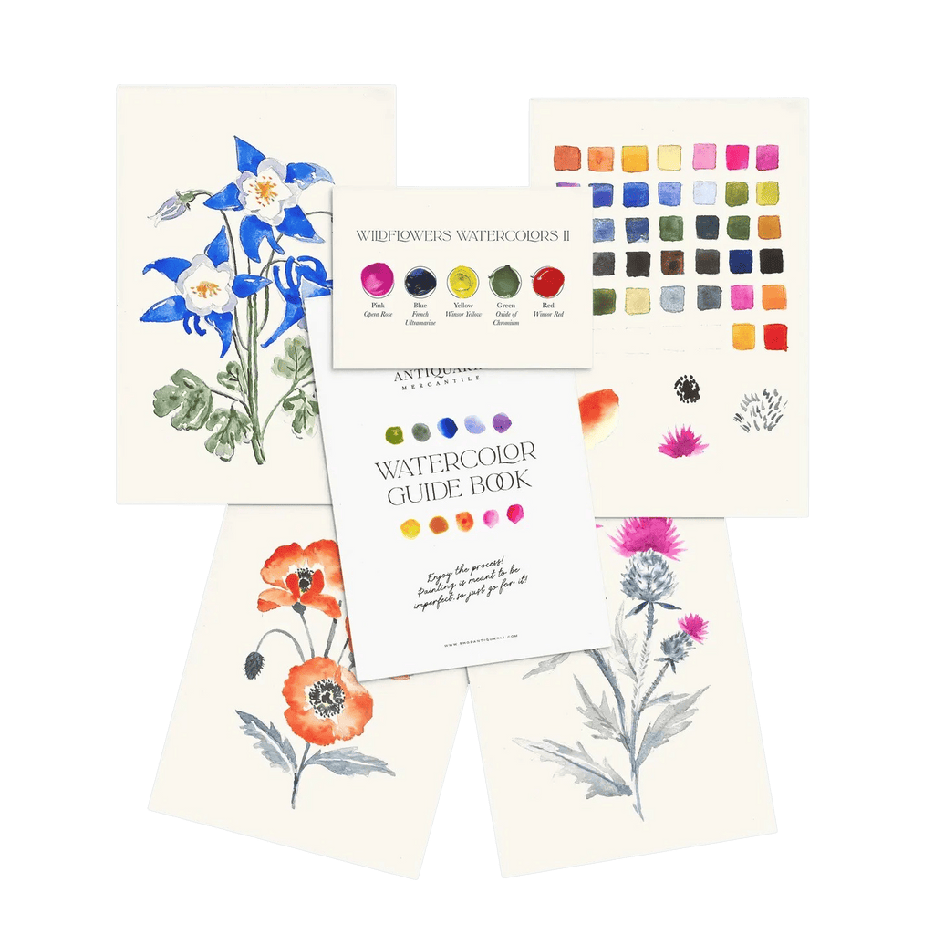 Kit Aquarelle Débutant Fleurs Sauvages n°2