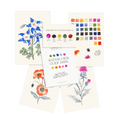 Kit Aquarelle Débutant Fleurs Sauvages n°2
