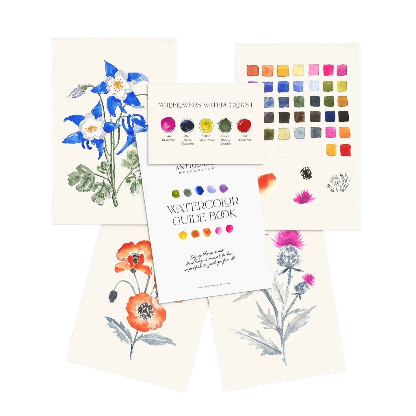 Kit Aquarelle Débutant Fleurs Sauvages n°2