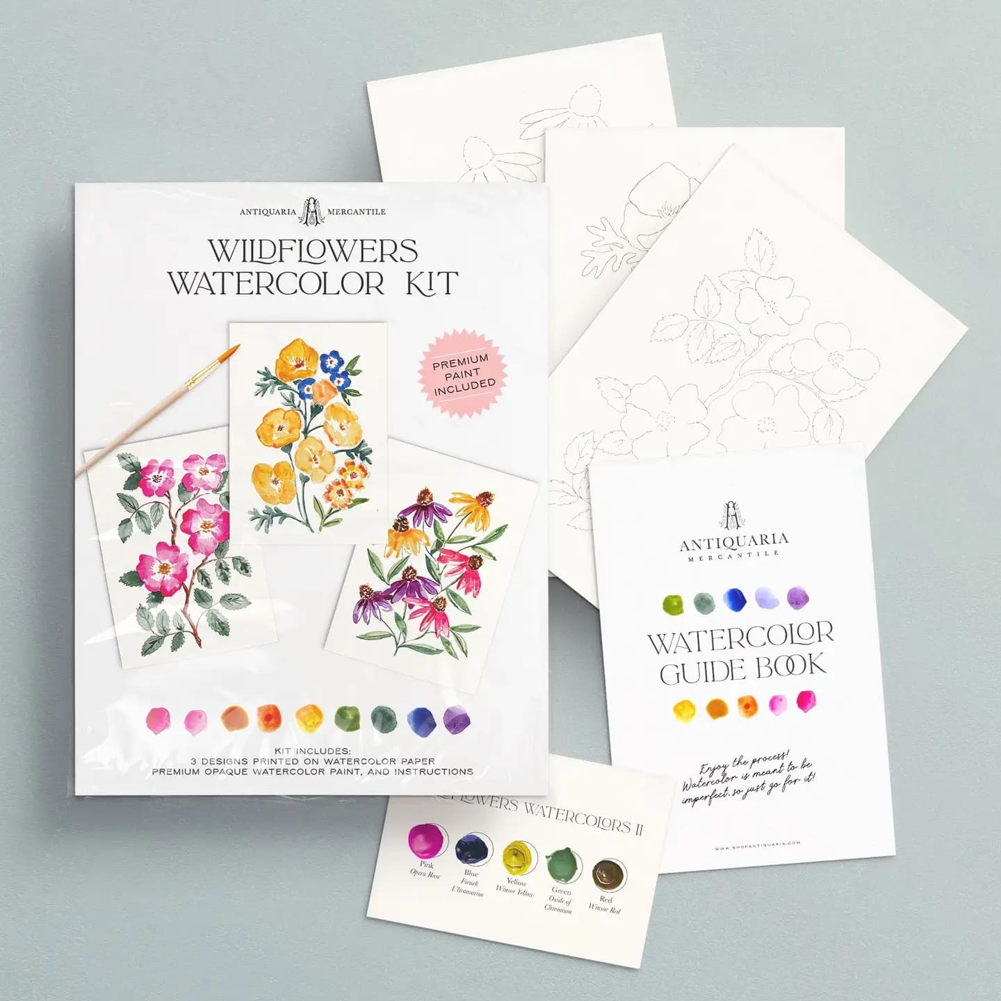 Kit Aquarelle Débutant Fleurs Sauvages n°1