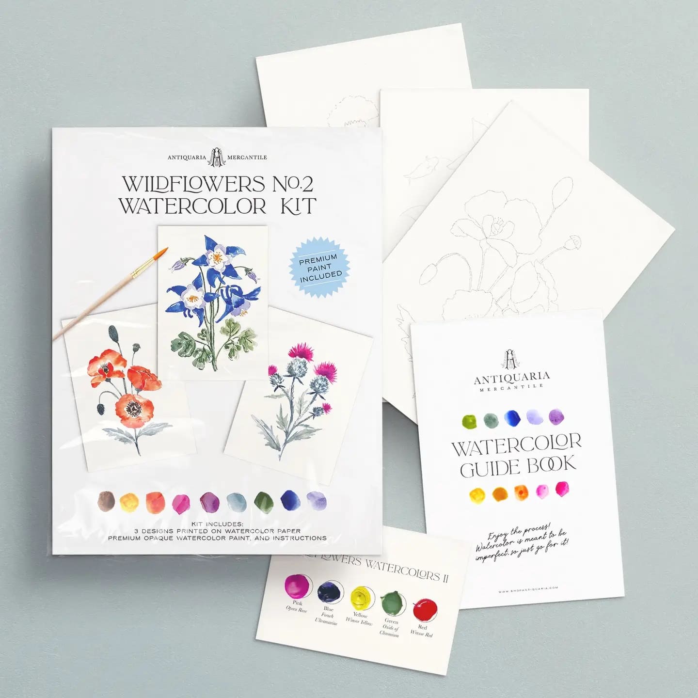 Kit Aquarelle Débutant Fleurs Sauvages n°2