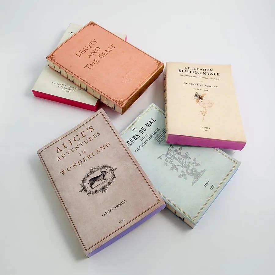 Carnet L'Éducation Sentimentale
