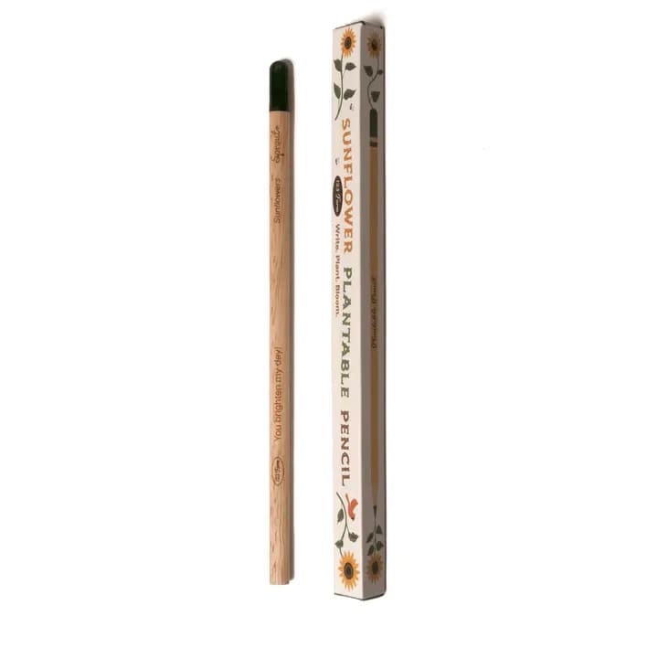 Crayon à planter – Faites pousser des fleurs ou des plantes après utilisation