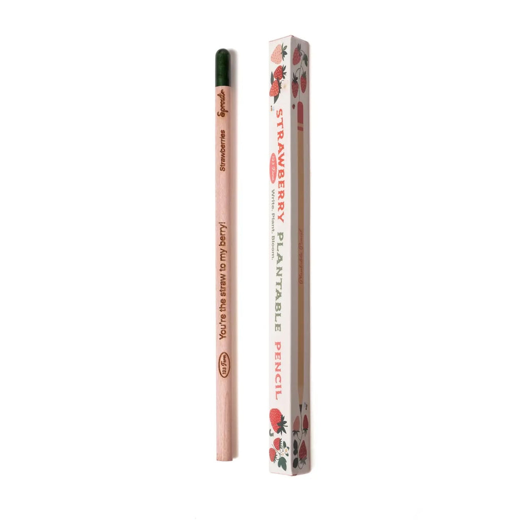 Crayon à planter – Faites pousser des fleurs ou des plantes après utilisation