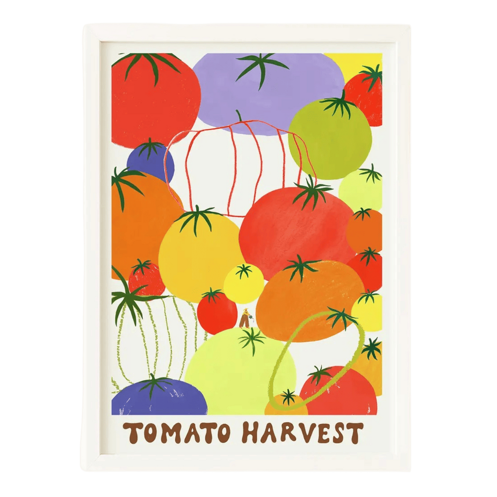 Affiche Tomato Harvest A4 - Récolte de Tomates