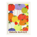 Affiche Tomato Harvest A4 - Récolte de Tomates