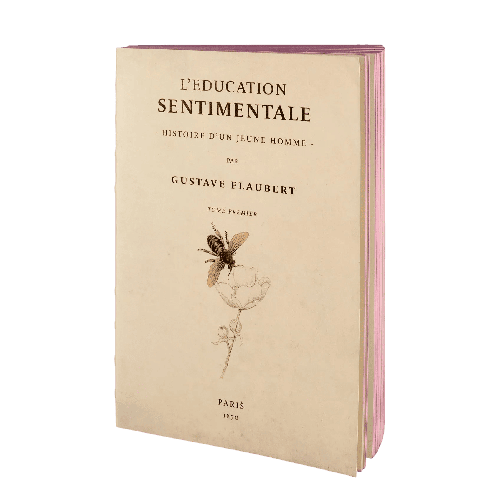 Carnet L'Éducation Sentimentale