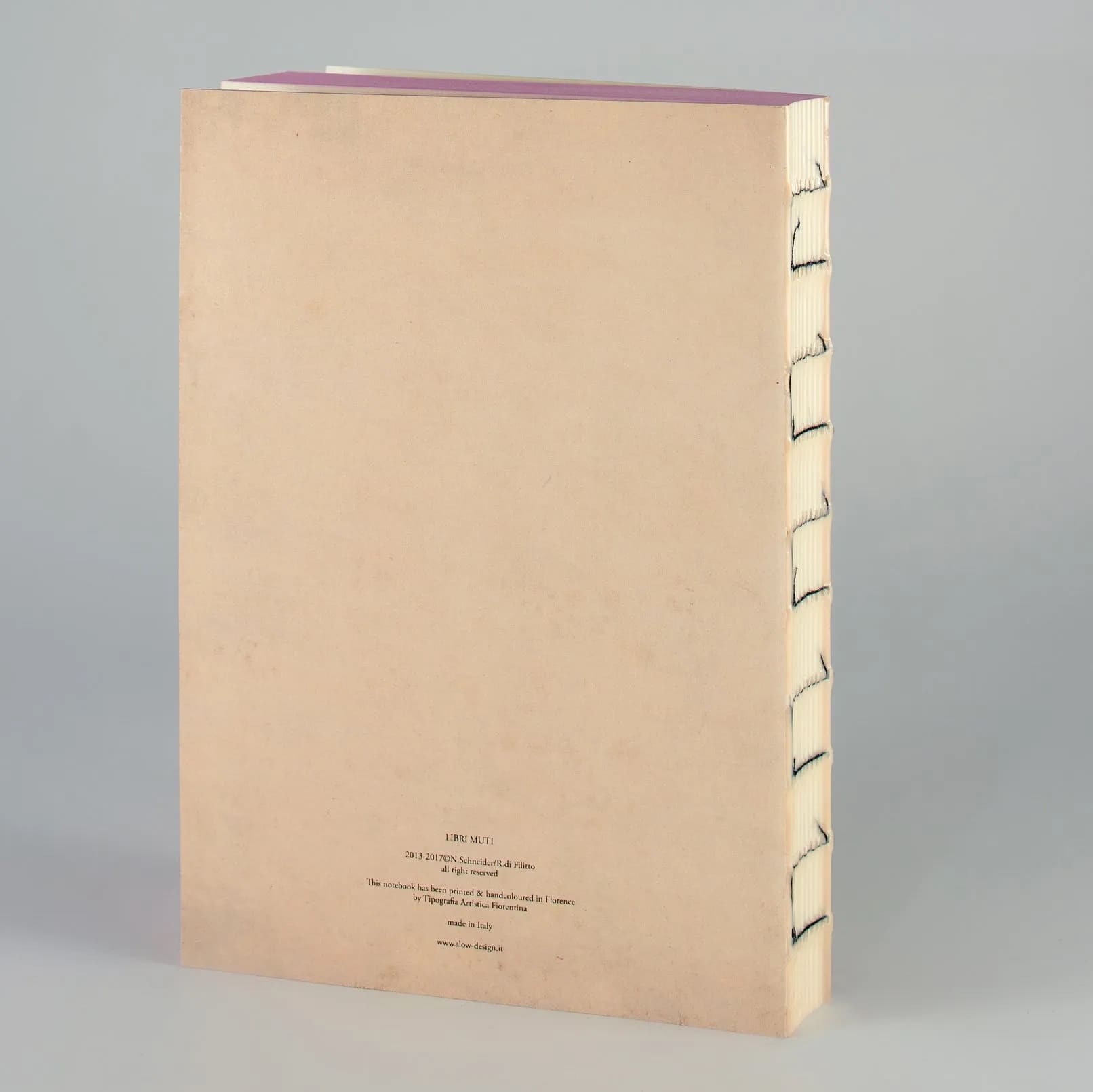 Carnet L'Éducation Sentimentale